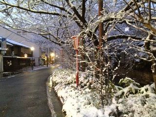 京都も雪化粧.jpg