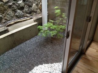 寝室から見た庭.jpg