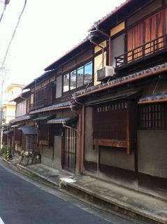 IMG_1041.jpg