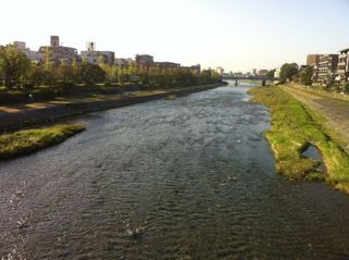 IMG_1088.jpg