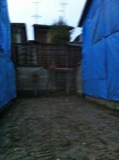 IMG_1075.jpg